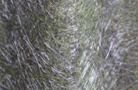 Weisdale fibreglass roof work